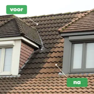 BM Chemie Green Clean mos en algen verwijderaar voor dak en terras