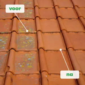 BM Chemie Green Clean mos en algen verwijderaar voor dak en terras