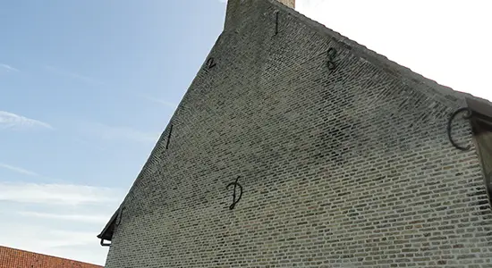 Bakstenen met schimmel op