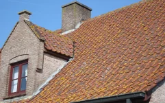 Dak ontmossen producten